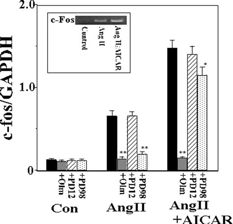 Activation Of Amp Activated Protein Kinase Enhances Angiotensin Ii