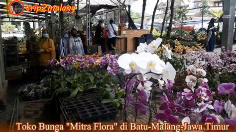 Toko Bunga Mitra Flora Nusantara Di Kota Batu Malang Jawa Timur