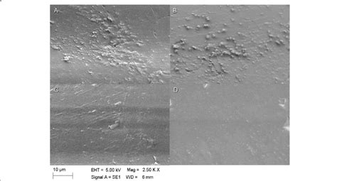 Scanning Electron Microscopy Sem Image For Qualitative Evaluation Of