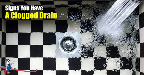 Warning Signs You Might Have A Clogged Drain