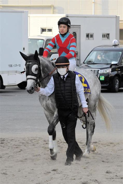 【レディスプレリュード】村神様は レーヌブランシュ 「仕切り直しの一戦にこん身の仕上げ」競馬・レースデイリースポーツ Online