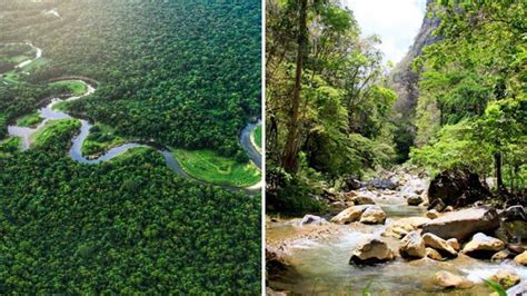 Áreas protegidas de Honduras lista de las 91 zonas naturales bajo el