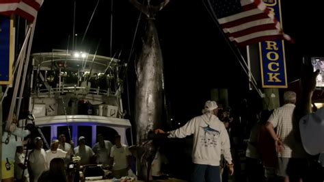 Big Rock Blue Marlin Tournament Ends In Controversy After 619 Pound