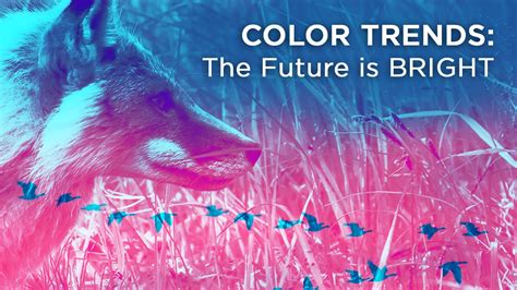 Color Trends: 2018, The Future Is BRIGHT! » Epic Life Creative