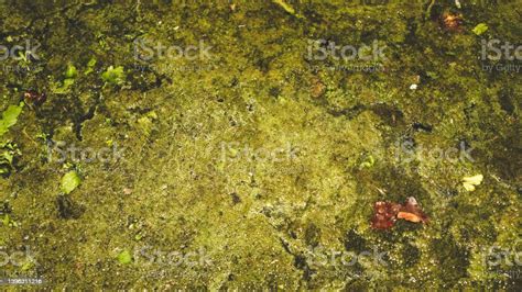 Sludge In The Water Stock Photo Download Image Now Abstract