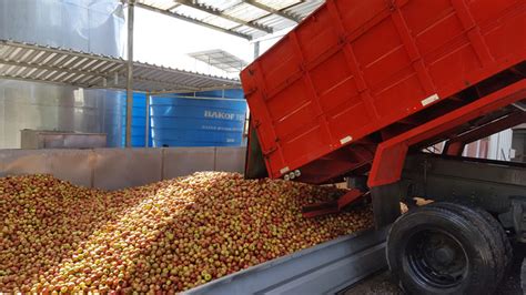 Pradense Alimentos Fermentado de Maçã Suco Integral de Maçã Sidra