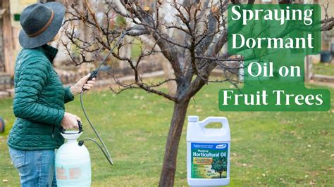 Copper Fruit Tree Spray Boost Your Orchards Health Seminiseed