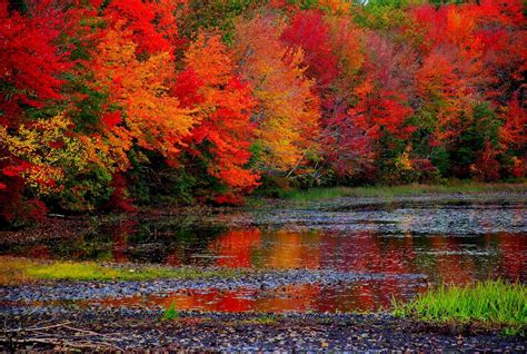 Vermont Fall Foliage Wallpapers - Top Free Vermont Fall Foliage