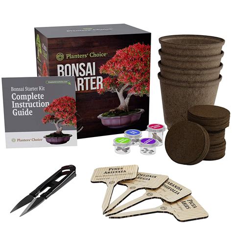 Planters Choice Bonsai Starter Kit