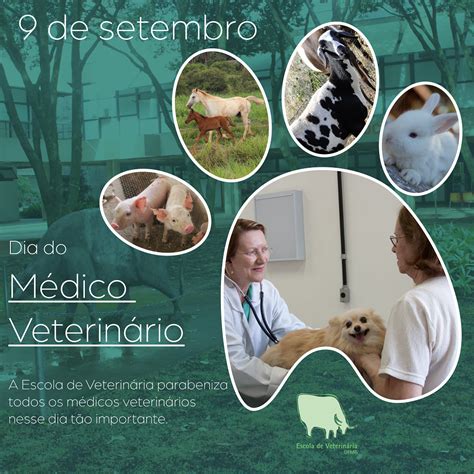 9 de setembro Dia do Médico Veterinário Escola de Veterinária UFMG