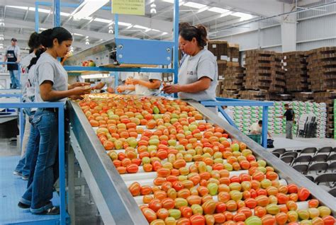 Balanza Comercial Agroalimentaria Tiene Super Vit En