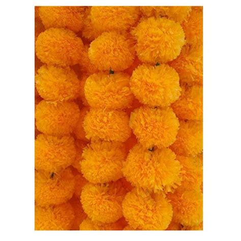 Dark Orange Marigold Flower Pack Of 5 Pound Veg