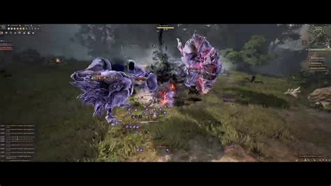 Bdo Woosa Succession Pve Duo Olun P K Dp Black Desert