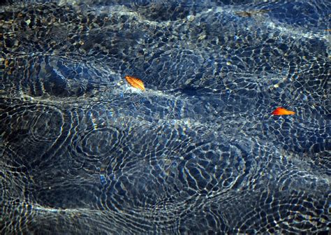 Floating Caused By The Phenomenon Of Ground Effect 10