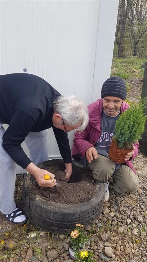 Plantare Flori Curatenie Padurea Verde 4 Pressalertro