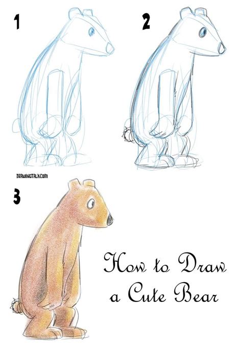 How to Draw a Cute Bear Cartoon | Bear cartoon, Cute bears, Drawings