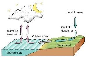 Land-sea breeze phenomena. | Download Scientific Diagram