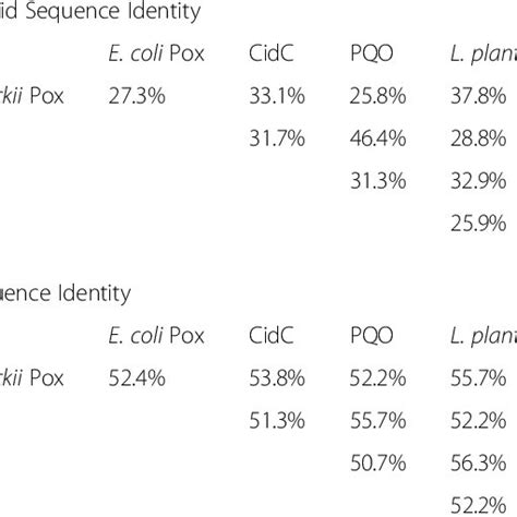 Amino Acid And Dna Percent Identity Of Pyruvate Oxidase Enzymes Shown