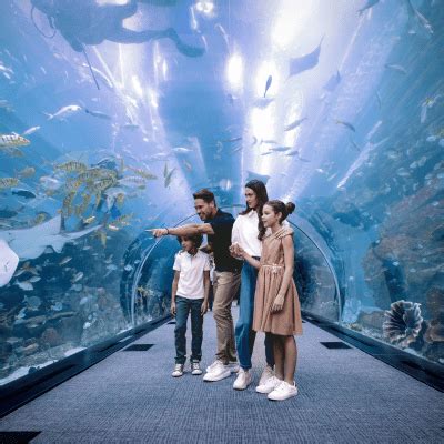 Dubai Aquarium & Underwater Zoo