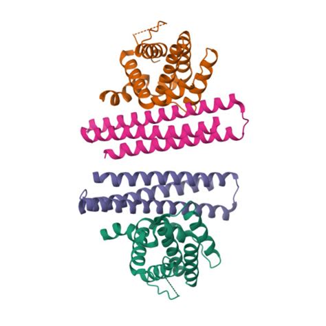 Gene P Protein Bcl Overview Cansar Ai