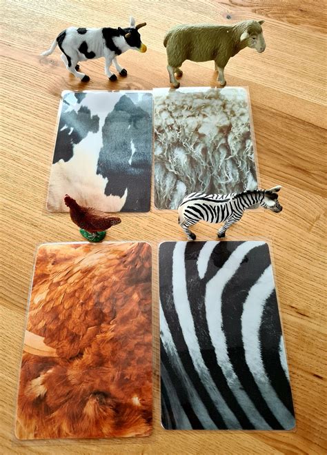 12 Animals Skin Matching Cards Printable Activity for | Etsy