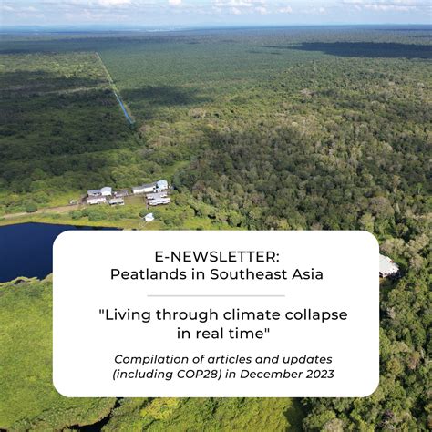 living  climate collapse  real time global environment centre