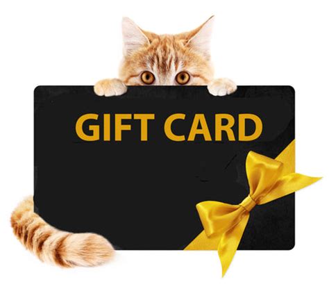 Fat Cat Digital Gift Card