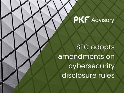 Sec Adopts Amendments On Cybersecurity Disclosure Rules Pkf Mueller