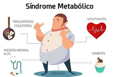 Síndrome metabólico y ejercicio físico ZityTraining