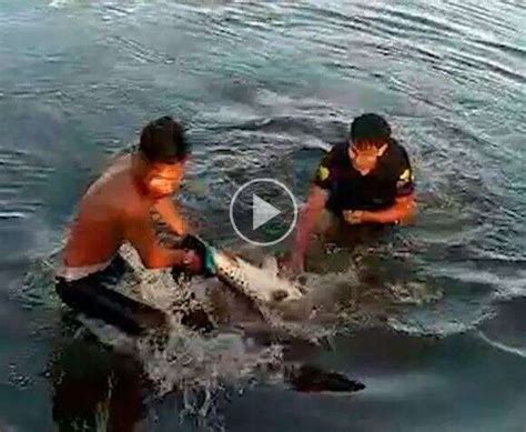 Cachara de 15 quilos pescada por dupla na Lagoa Itatiaia foi vídeo mais