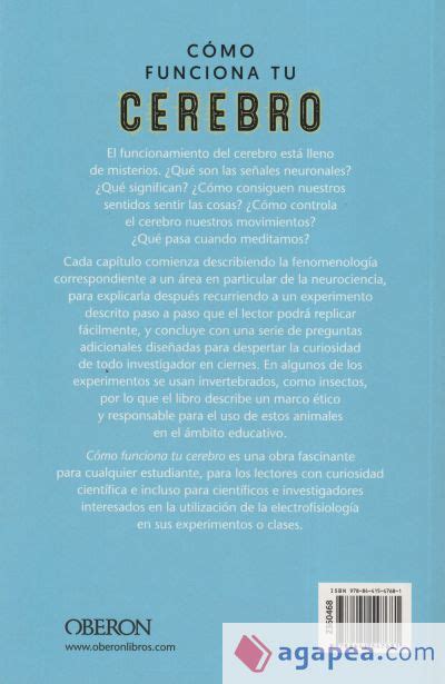 Como Funciona Tu Cerebro Experimentos De Neurociencia Para Todos Greg Gage Timothy Marzullo