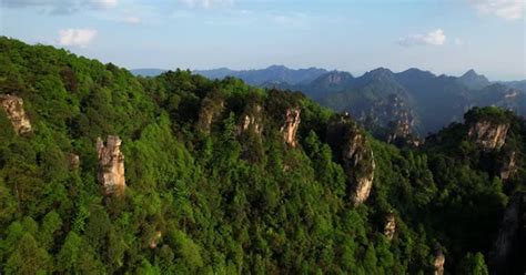 Dense vegetation and towering karst pillars in Zhangjiajie National Forest Park, China. Aerial ...