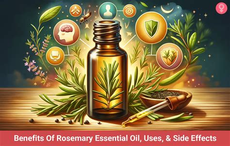 Benefits Of Rosemary Essential Oil Uses Side Effects