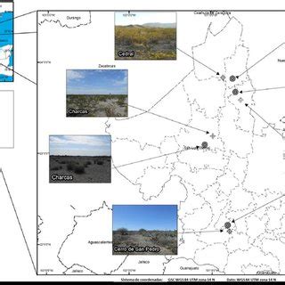 Localización de los sitios de estudio Fuente elaboración propia