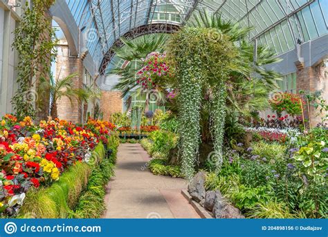 Auckland Domain Wintergardens In New Zealand Editorial Photo Image Of