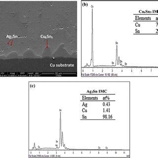 A Fesem Micrograph Of The Sac Cnt Cu Eds Analysis Results Of B