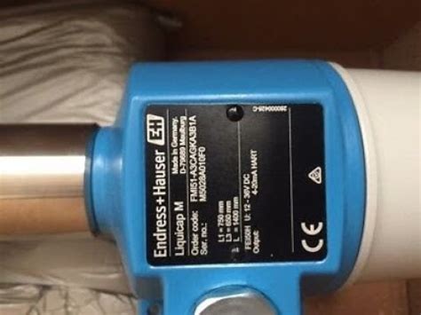 Endress Hauser Liquicap M FIT51 Level Switch Verification Explained