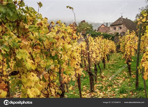 Kaysersberg One Most Beautiful Villages France Alsace Alsace Wine Route