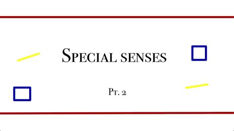 Special Senses Hearing Equilibrium Youtube