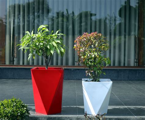 Stylish and Durable Plant Pots for Modern Homes - ondmoon.com