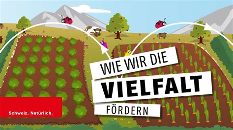 Biodiversität Wie wir Vielfalt fördern YouTube