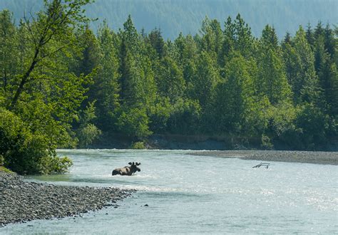 Alaska Photography Day Tour | Alaska Photo Treks