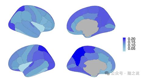 Cerebral Cortex Uk Biobank