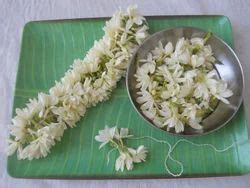 Indian Mullai Flowers Mullai Poo Plants Exporter From Coimbatore