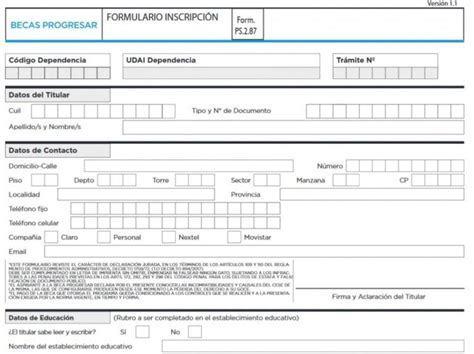 Formulario Progresar Qu Es C Mo Completarlo Octubre