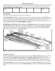 Sedimentary Rocks Lab Pdf Sedimentary Rocks Lab Sedimentary