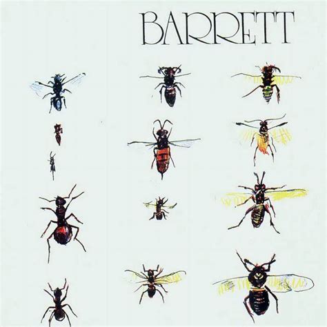 Carátula Frontal de Syd Barrett Barrett Special Edition Portada