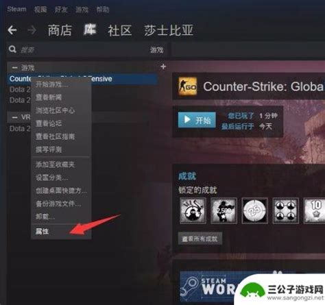 Steam怎么设置国服启动项 国服csgo怎么用steam启动教程 三公子游戏网