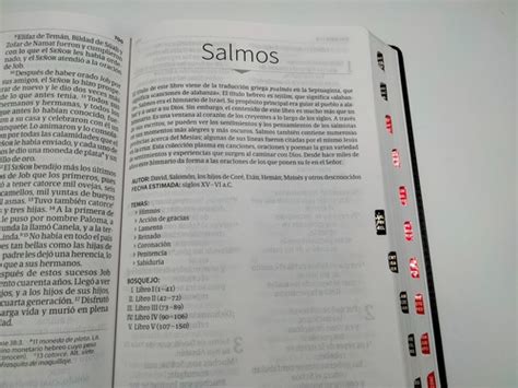 Biblia Nvi Letra S Per Gigante Negro Piel Fabricada Ndice Meses