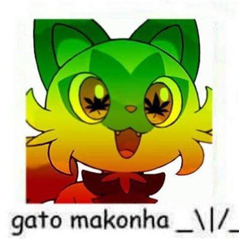 Gato Makonha Sprigatito Know Your Meme